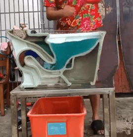 1708494974327394.gif